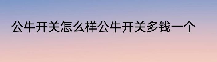 公牛开关怎么样公牛开关多钱一个