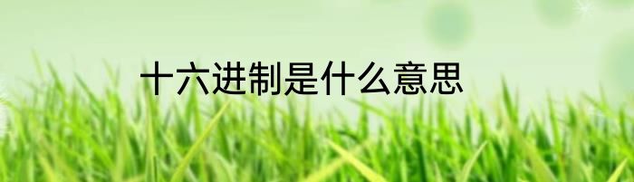 十六进制是什么意思