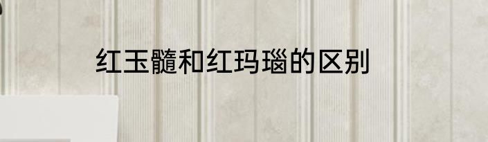 红玉髓和红玛瑙的区别