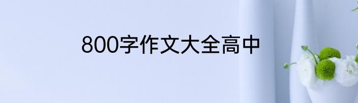800字作文大全高中