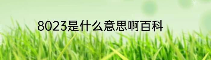 8023是什么意思啊百科