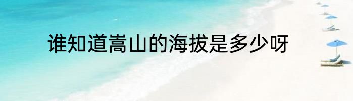 谁知道嵩山的海拔是多少呀