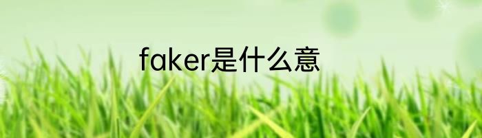 faker是什么意