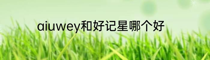 aiuwey和好记星哪个好