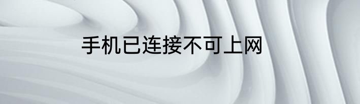 手机已连接不可上网