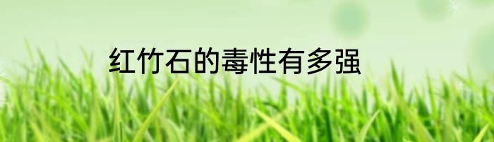 红竹石的毒性有多强