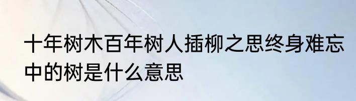 十年树木百年树人插柳之思终身难忘中的树是什么意思