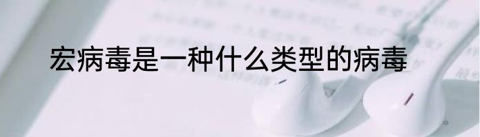 宏病毒是一种什么类型的病毒