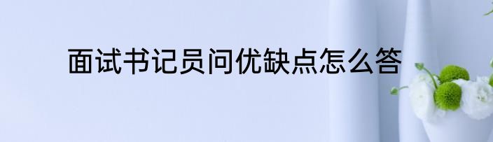 面试书记员问优缺点怎么答