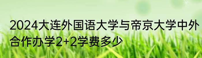 2024大连外国语大学与帝京大学中外合作办学2+2学费多少