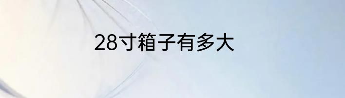 28寸箱子有多大