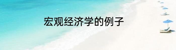 宏观经济学的例子