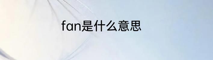 fan是什么意思