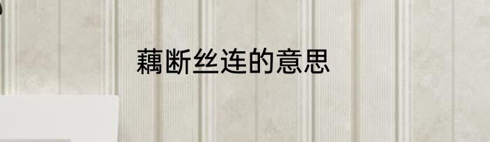 藕断丝连的意思