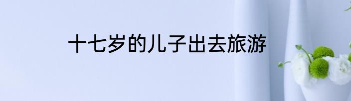 十七岁的儿子出去旅游