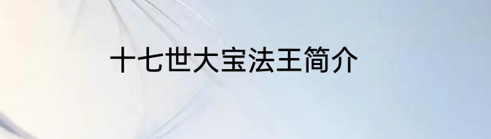 十七世大宝法王简介