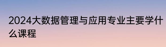 2024大数据管理与应用专业主要学什么课程