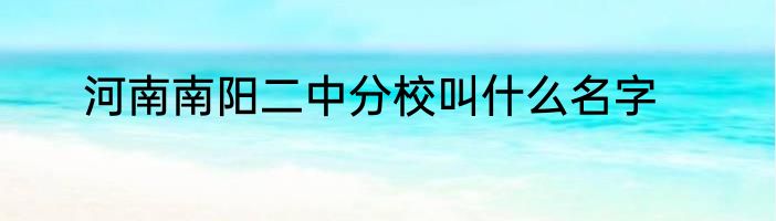 河南南阳二中分校叫什么名字