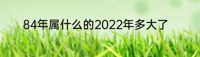 84年属什么的2022年多大了
