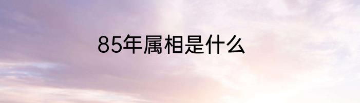85年属相是什么