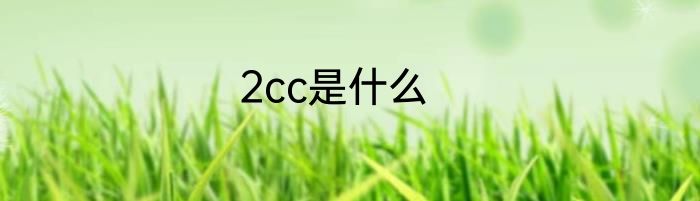 2cc是什么