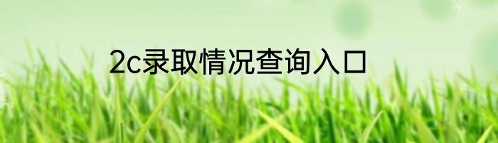 2c录取情况查询入口