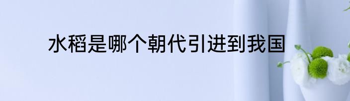 水稻是哪个朝代引进到我国