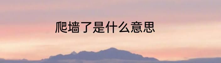 爬墙了是什么意思