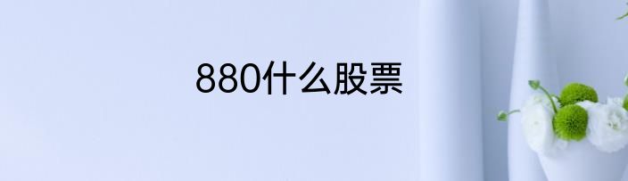 880什么股票