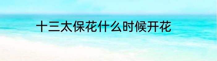 十三太保花什么时候开花
