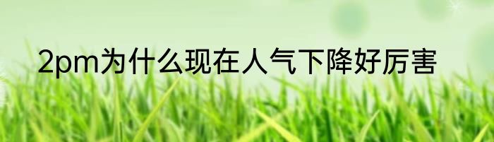 2pm为什么现在人气下降好厉害