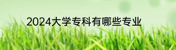 2024大学专科有哪些专业
