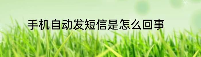 手机自动发短信是怎么回事