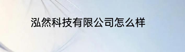泓然科技有限公司怎么样
