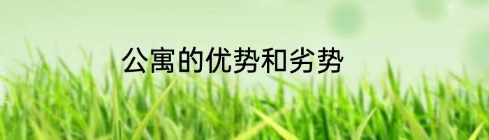 公寓的优势和劣势