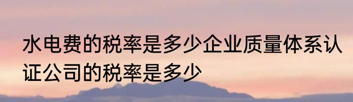 水电费的税率是多少企业质量体系认证公司的税率是多少