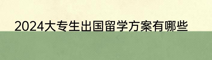 2024大专生出国留学方案有哪些