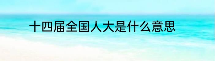 十四届全国人大是什么意思