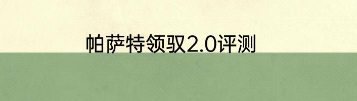 帕萨特领驭2.0评测