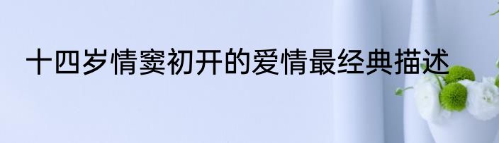 十四岁情窦初开的爱情最经典描述
