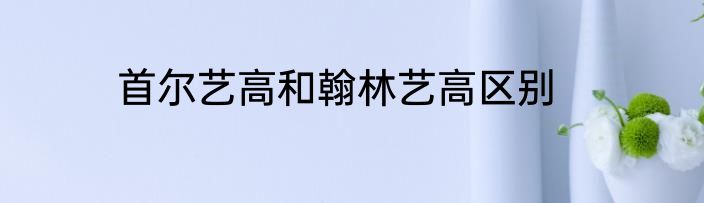 首尔艺高和翰林艺高区别