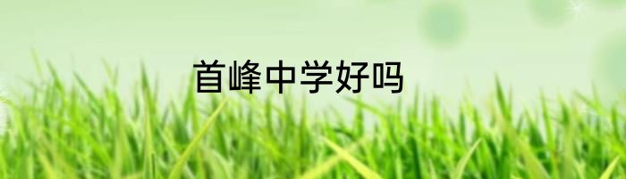 首峰中学好吗