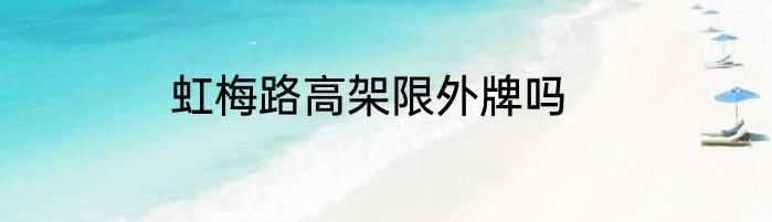 虹梅路高架限外牌吗