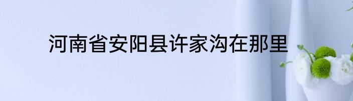 河南省安阳县许家沟在那里