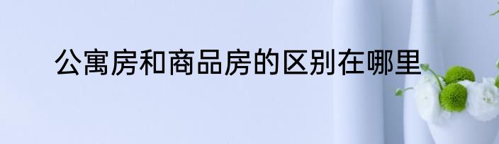 公寓房和商品房的区别在哪里