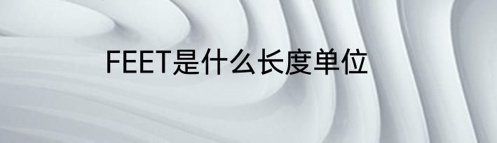 FEET是什么长度单位