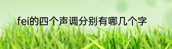 fei的四个声调分别有哪几个字