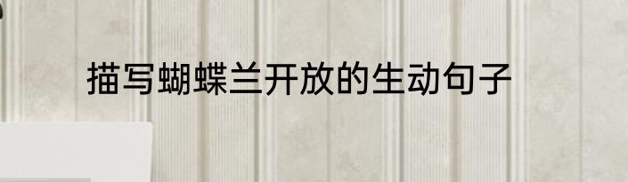 描写蝴蝶兰开放的生动句子