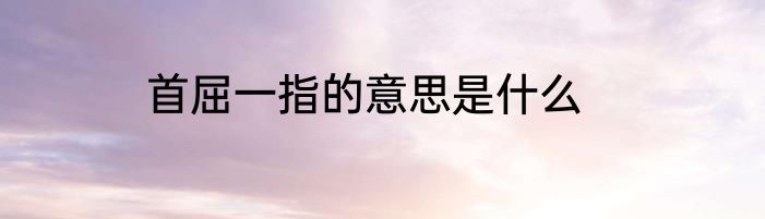 首屈一指的意思是什么