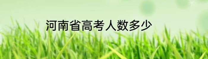 河南省高考人数多少